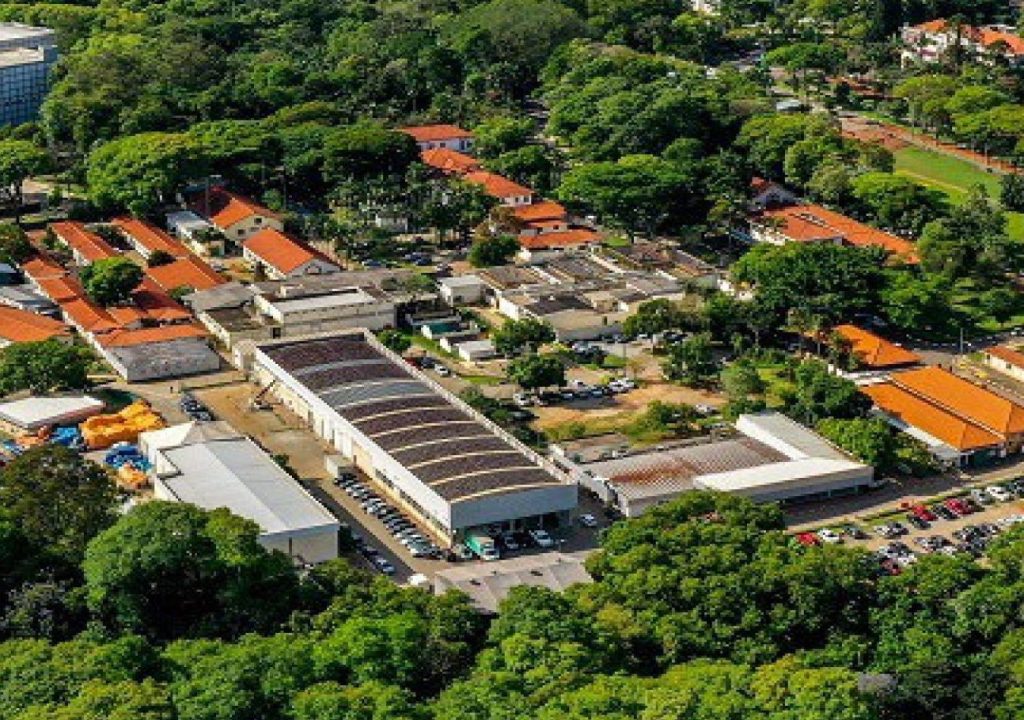 Instituto Butantan