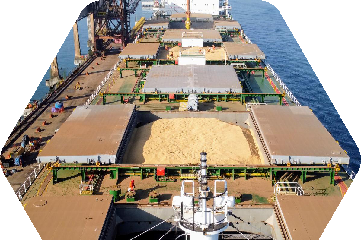 Imagem do quem somos