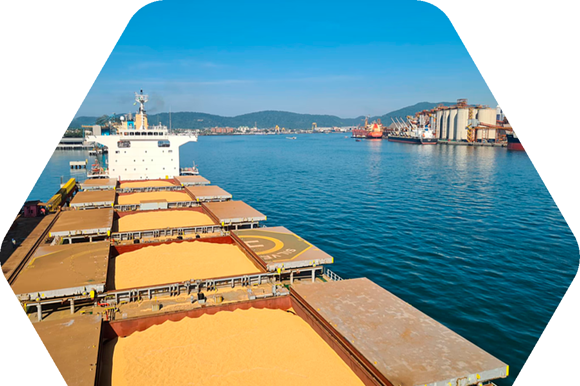 Imagem do quem somos